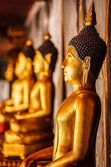 Gold sitting Buddha statues in Wat Phra That Doi Suthep