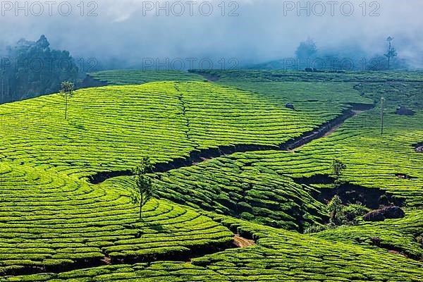 Kerala India travel background