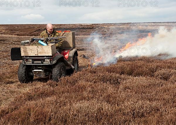 Gamekeepers burning heather on moorland to encourage new growth for grouse