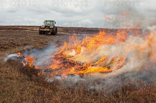 Gamekeepers burning heather on moorland to encourage new growth for grouse