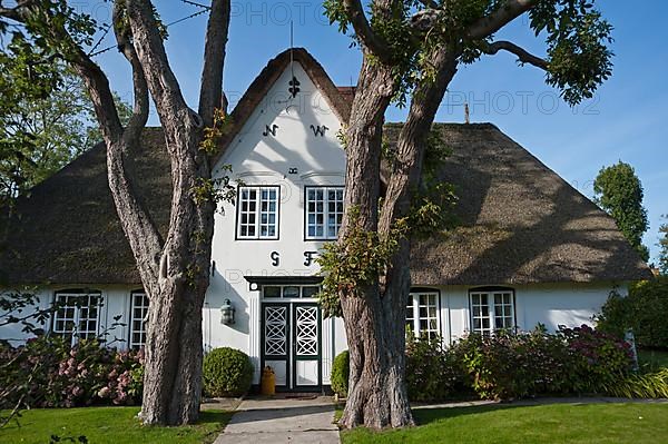 Thatched house