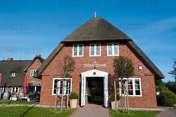 Thatched Frisian house