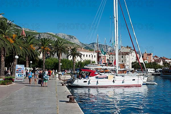 Waterfront