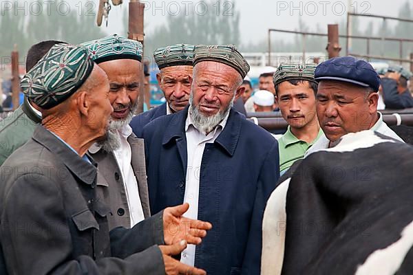 Uyghur farmers wearing doppas trade cows at the cattle market in Kashgar