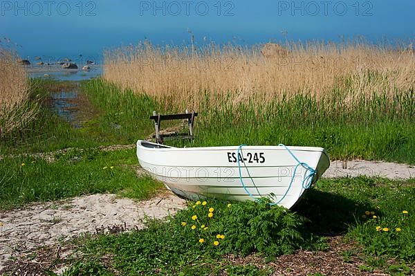 Boat at beach