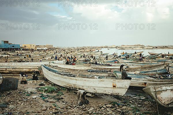 About 7000 fishing boats moored in the harbour