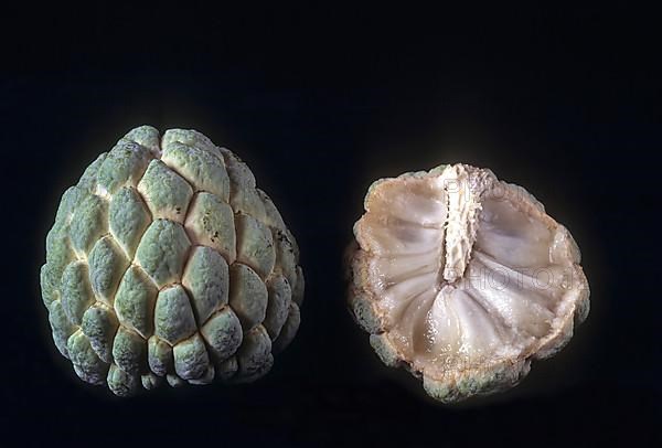 Fruits Custard apple sugar apple