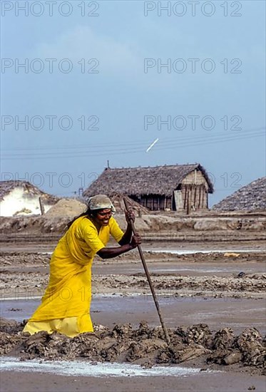 Worker in salt pan at Thoothukudi Tuticorin