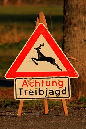 Driven hunt