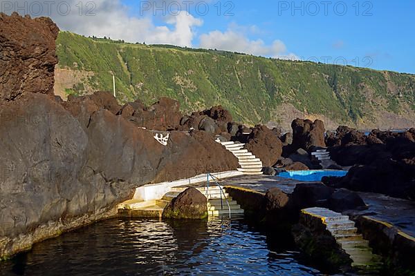 Natural swimming pool