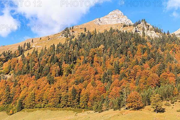 Karwendel