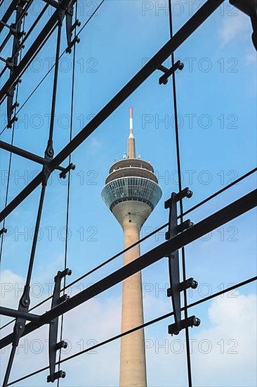 Rhine Tower