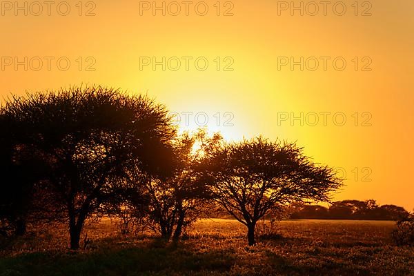 Sunrise