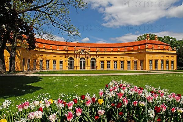 Palace Garden