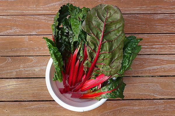 Beetroot
