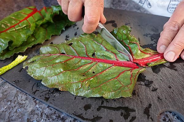 Beetroot