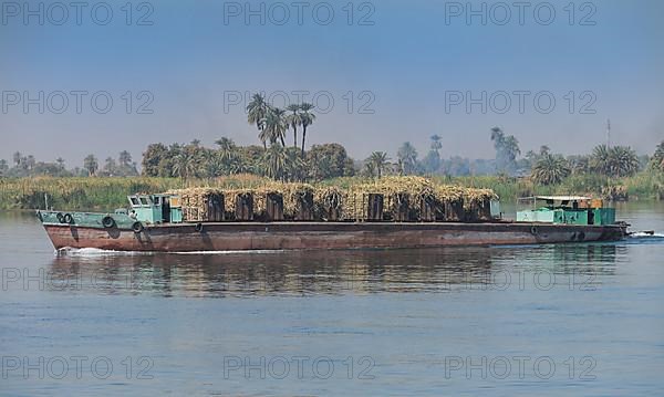 Transport ship sugar cane