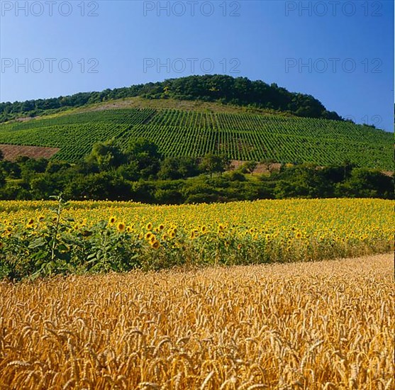 Stromberg