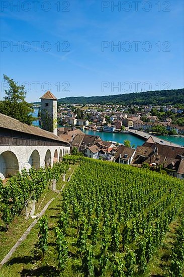 View of the Munot fortress and the town with the Rhine