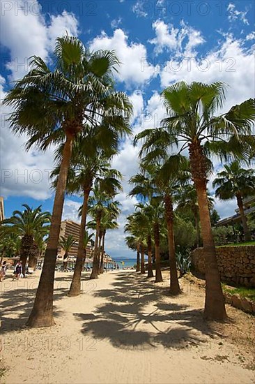 Cala Vinyes