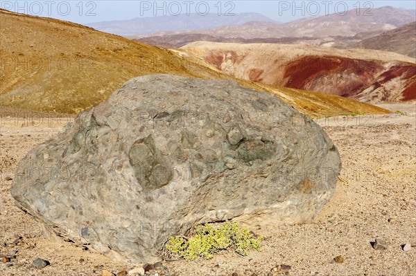 Rock outcrop in the desert