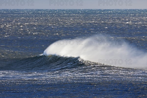 Wave crest in the Arctic Ocean with spray and spindrift due to strong winds