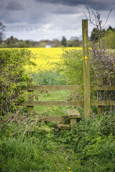 Footpath sign and stile