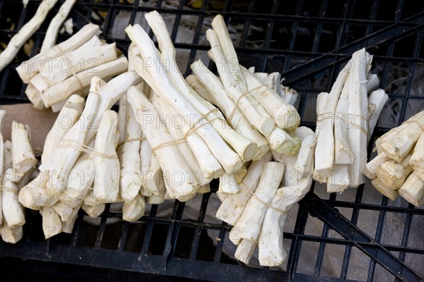 Horseradish