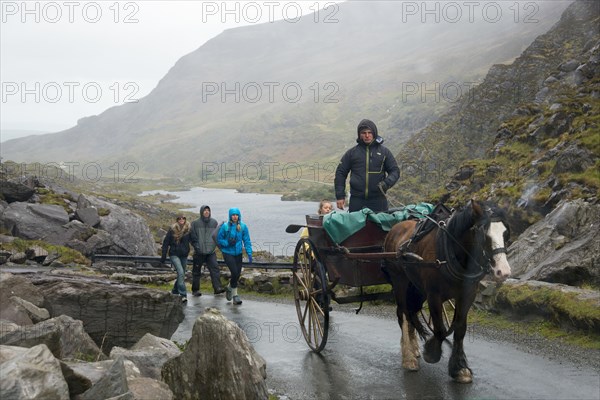 Carriage