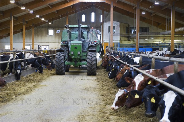 Dairy farming