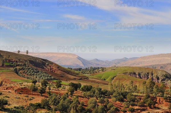 View of farmland and hills