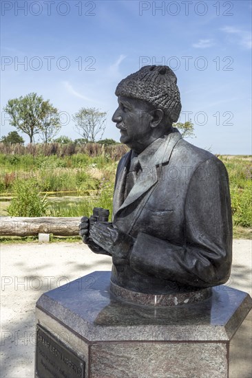 Bust of Count Leon Lippens