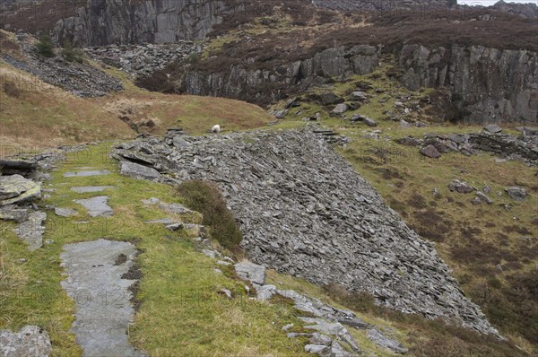 Old level in abandoned slate mine