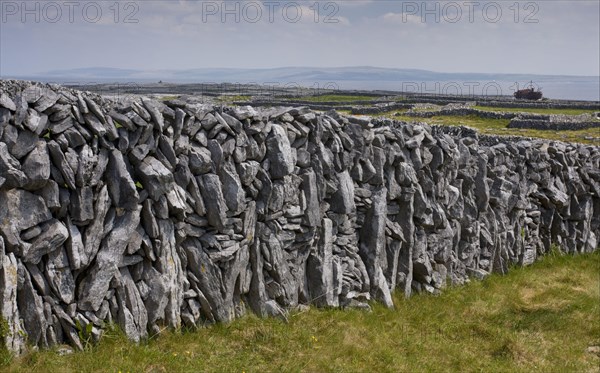 Old limestone drystone wall with small fields