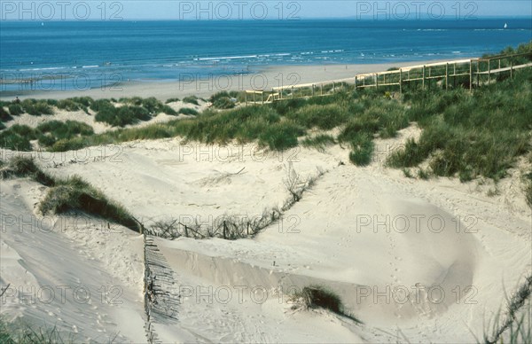 Sand dune 'blow-out' reclamation on coastal dunes