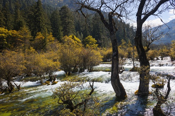 Sparkling Lake Cascades