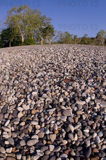 Pebble beach with trees in the background