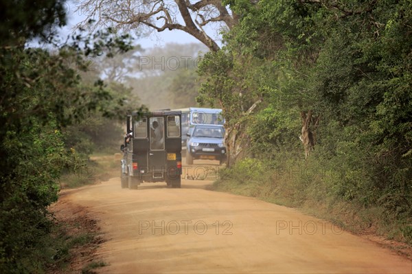 Safari vehicle