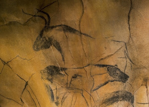 Replica of prehistoric rock paintings of the Chauvet Cave