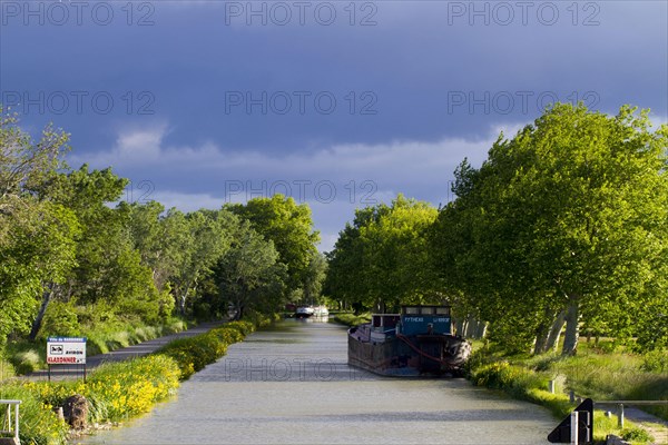 Barges on a stretch of canal lined with plane trees