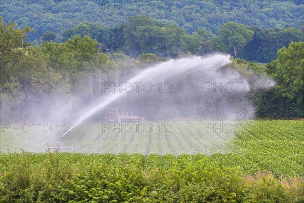 Crop irrigation