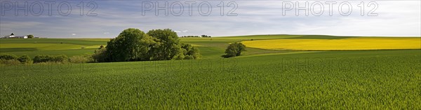 Cultural landscape in the Rhine-Lahn district