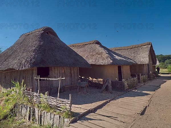 Scientific reconstruction of the Viking village of Haithabu