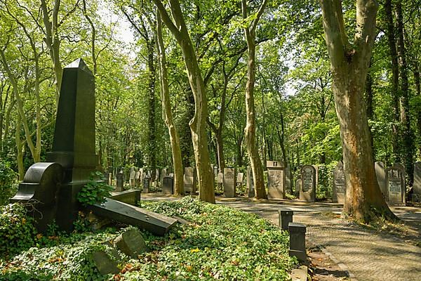 Old graves