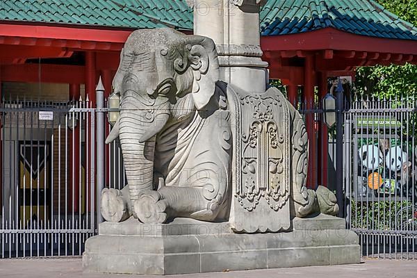 Elephant