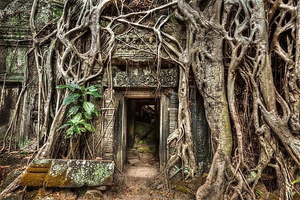 Travel Cambodia concept background