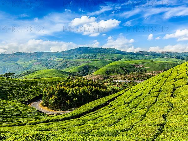 Kerala India travel background