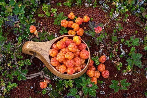 Cloudberries