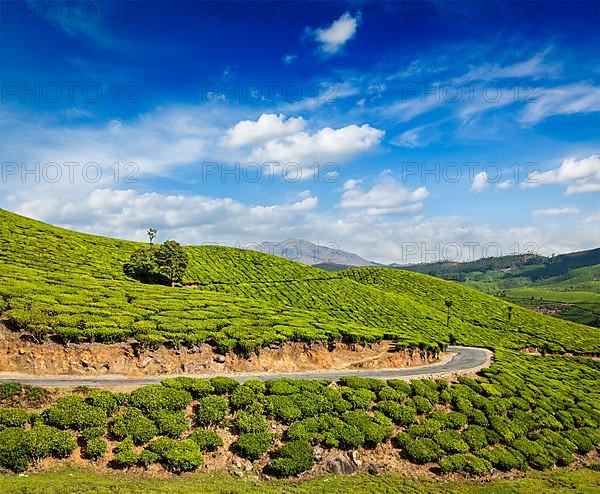 Kerala India travel background
