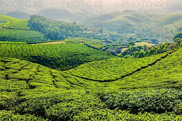 Kerala India travel background